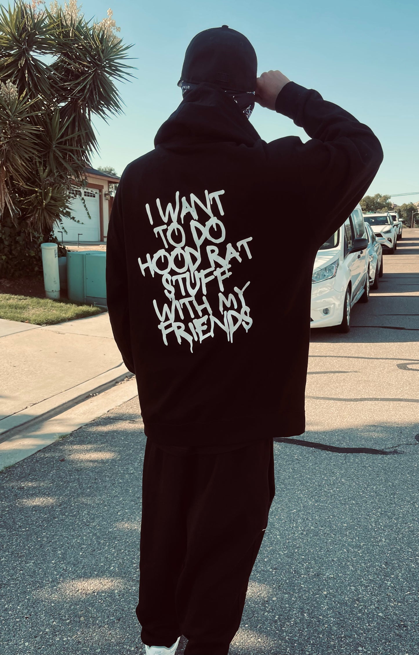 I want to do Hoodrat Stuff with my Friends